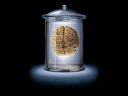 brain bell jar