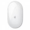 apple mouse