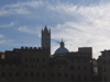 siena 3