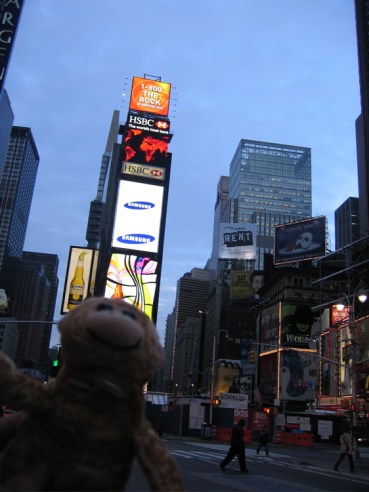 spam new york