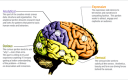 creativity brain