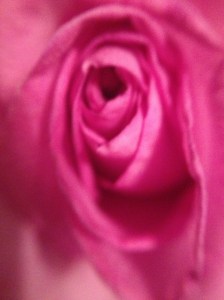 photo[6]