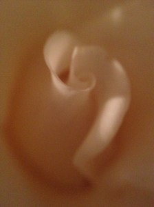 photo[7]